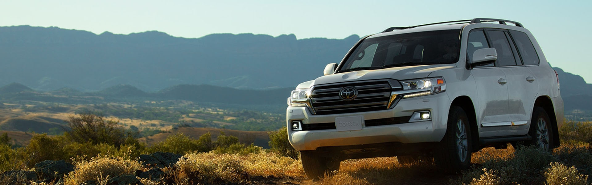 2019 land cruiser