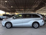 2025 Toyota Sienna LE 8 Passenger