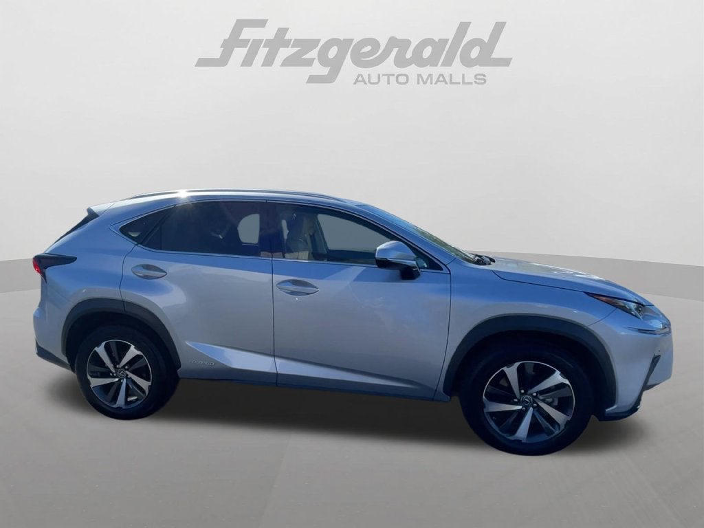 2019 Lexus NX 300h