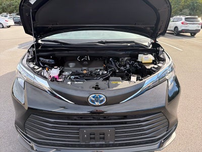2025 Toyota Sienna LE 8 Passenger