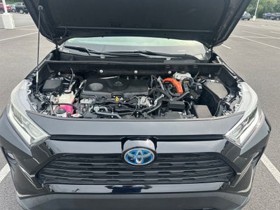 2019 Toyota RAV4 Hybrid XLE