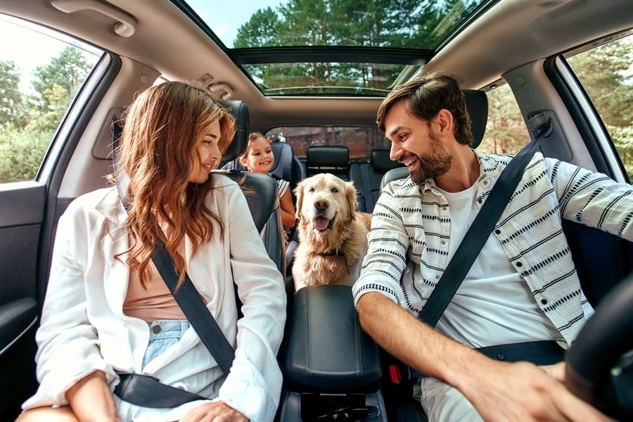Family with dog in the car